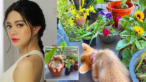 latest showbiz chika|Pikapika .